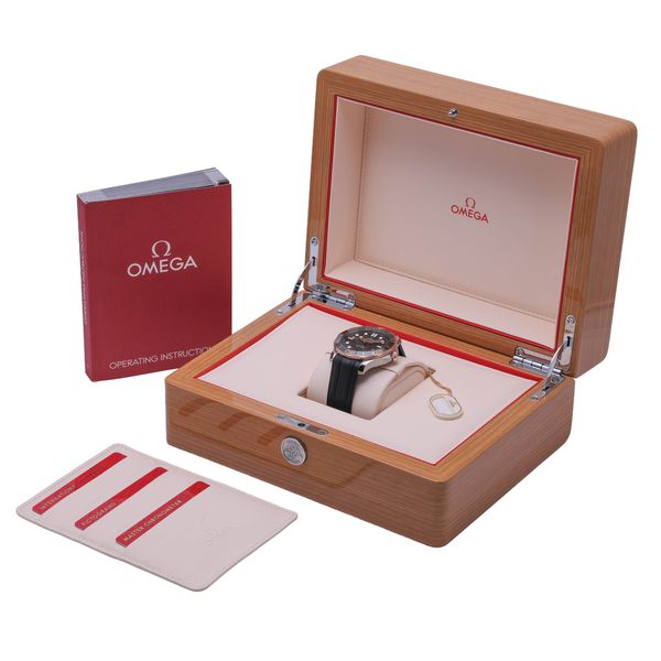 Omega Seamaster Diver 300m 210.22.42.20.01.002